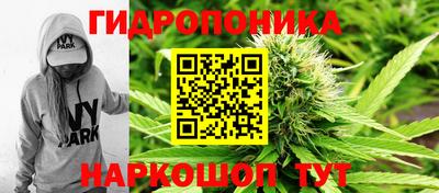 дмт Пенза