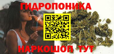 дмт Пенза