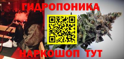 прущие крисы Партизанск