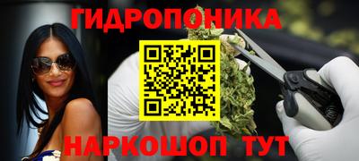 прущие крисы Партизанск